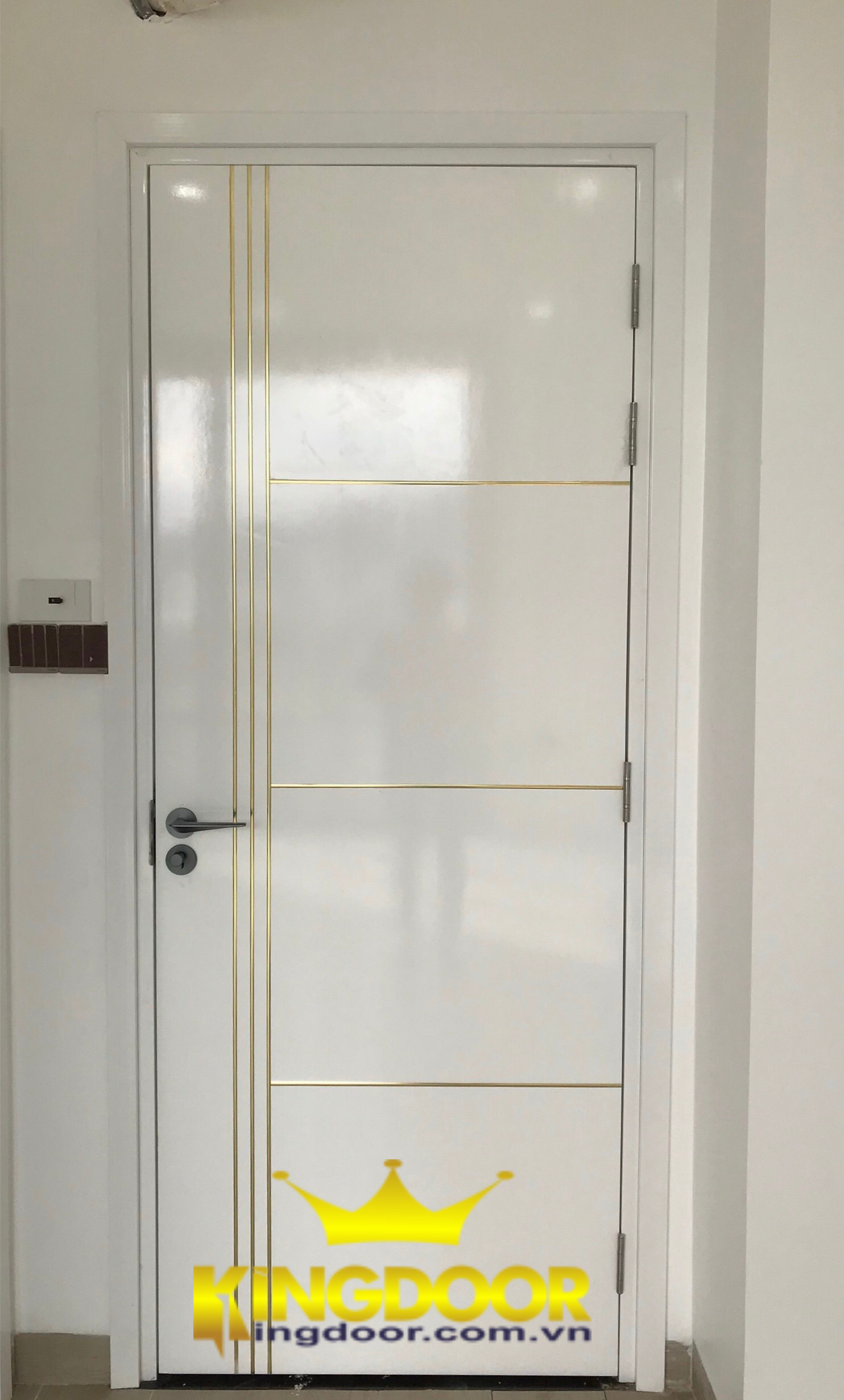 Mẫu cửa nhựa Composite sơn PU chạy chỉ nhôm sang trọng.
